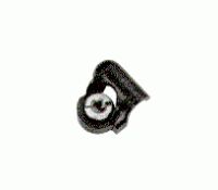 GP300 Accessory Clamp